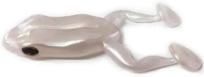 Monster 3x Paddle Frog com 4 UN