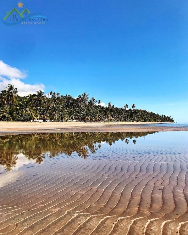 Pousada B&B Beira Mar Pontal do Peba - hospedagem para pescadores