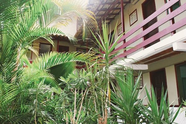 Pousada Del Rey - hospedagem para pescadores