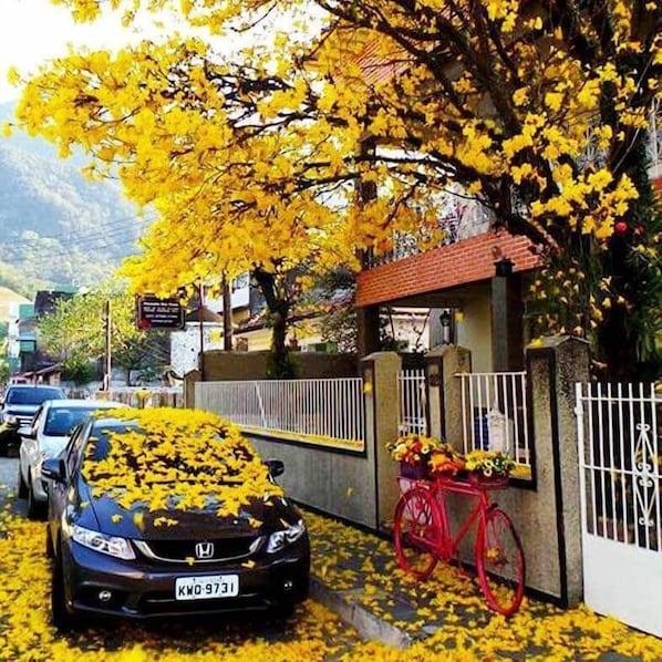 Pousada São Paulo - hospedagem para pescadores