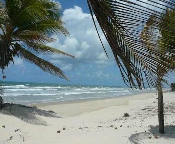 Pousada O Forte - hospedagem para pescadores