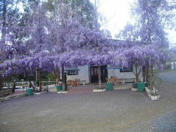 Harry World Parque Hotel - hospedagem para pescadores