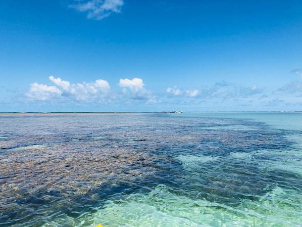 Pousada São Miguel dos Milagres - hospedagem para pescadores