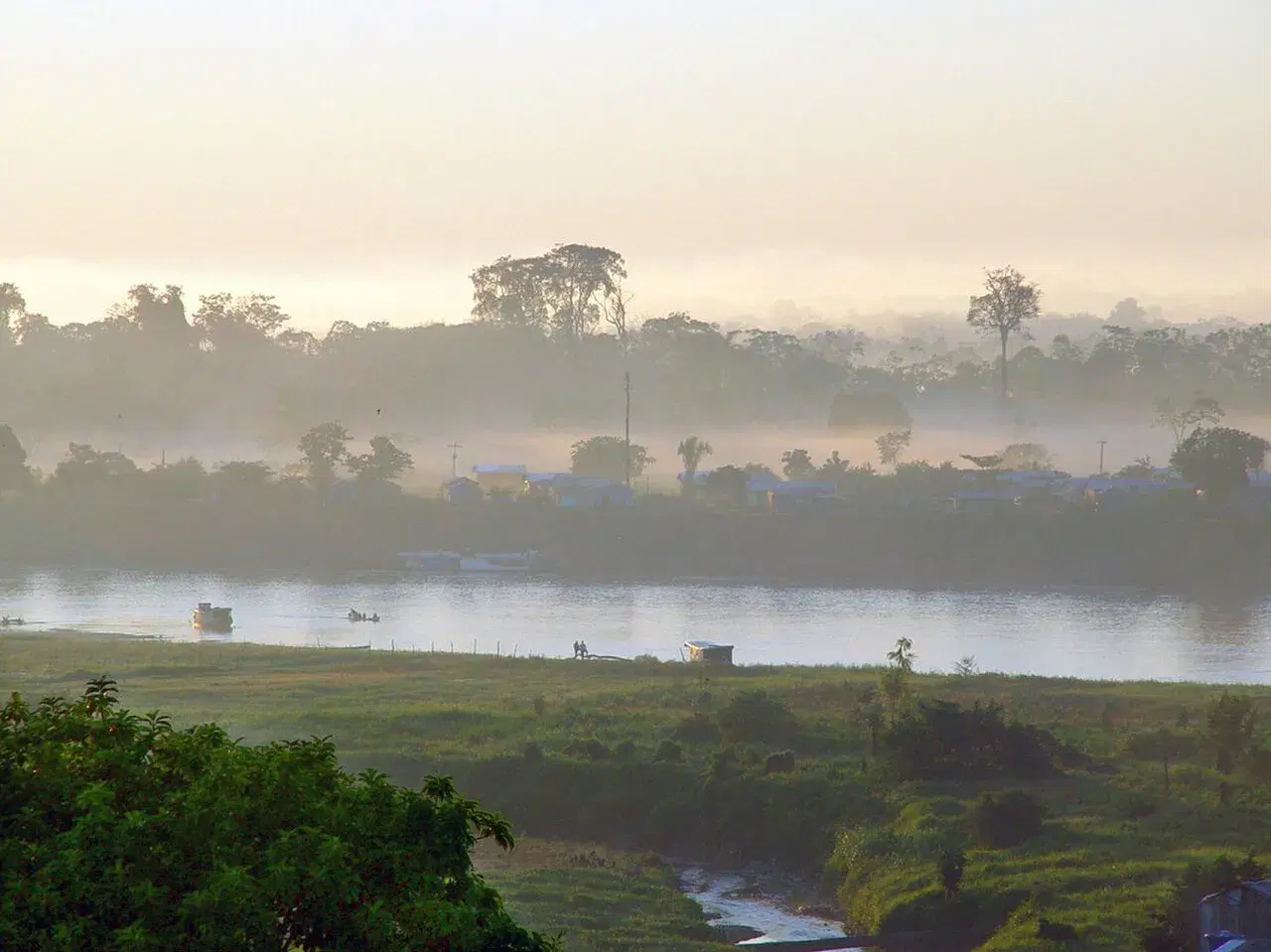 Rio Juruá: Guia Completo de Pesca
