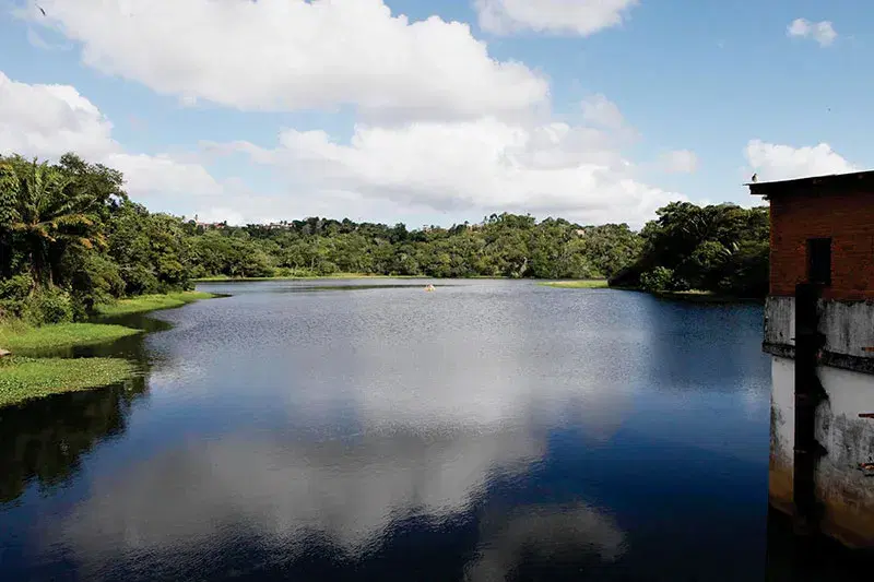 Rio Joanes: guia completo de pesca
