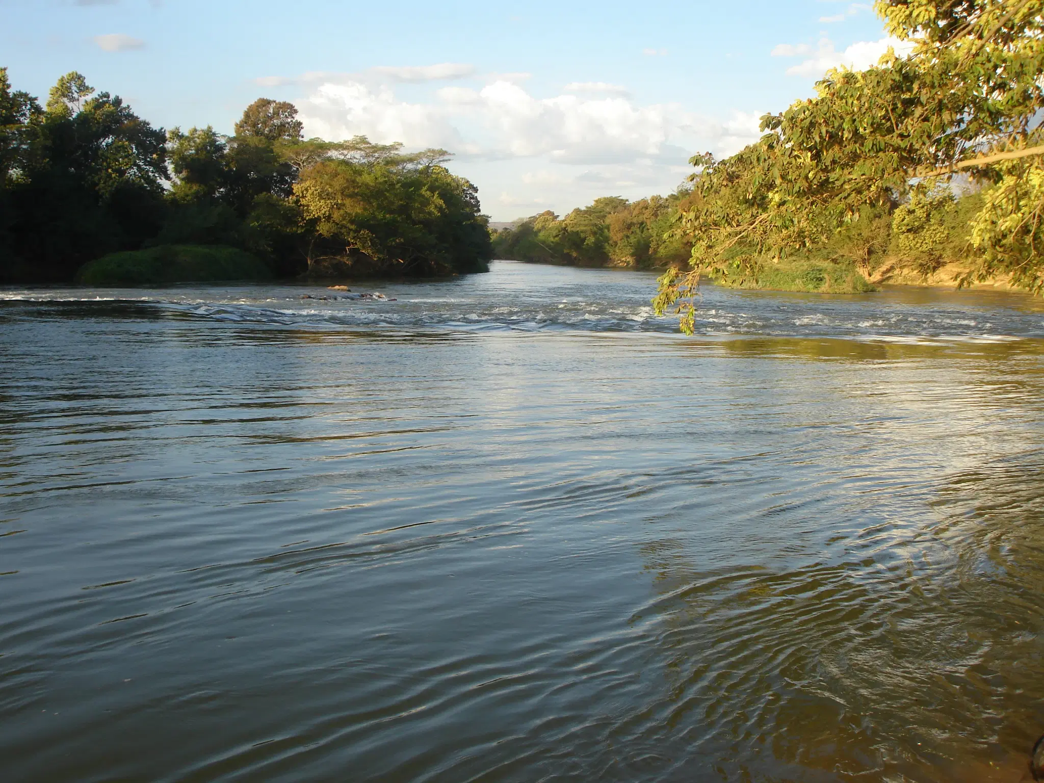 Rio Preto (DF): guia completo de pesca