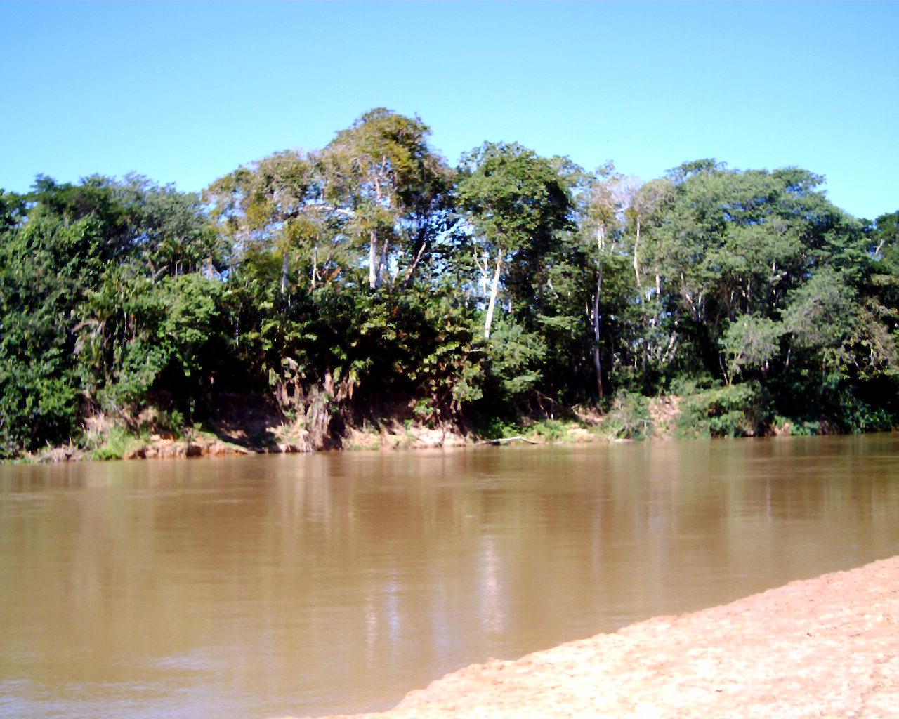 Rio Mearim (MA): guia completo de pesca
