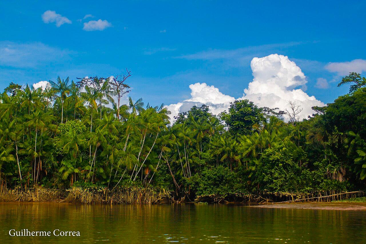 Margem do Rio Capim em São Domingos do Capim