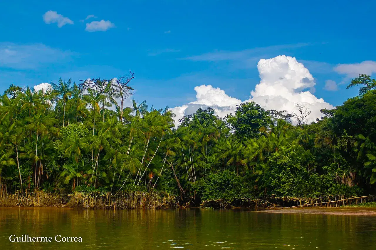 Margem do Rio Capim em São Domingos do Capim