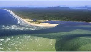 Superagui: guia completo de pesca