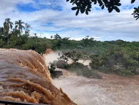 Rio Goioerê: guia completo de pesca