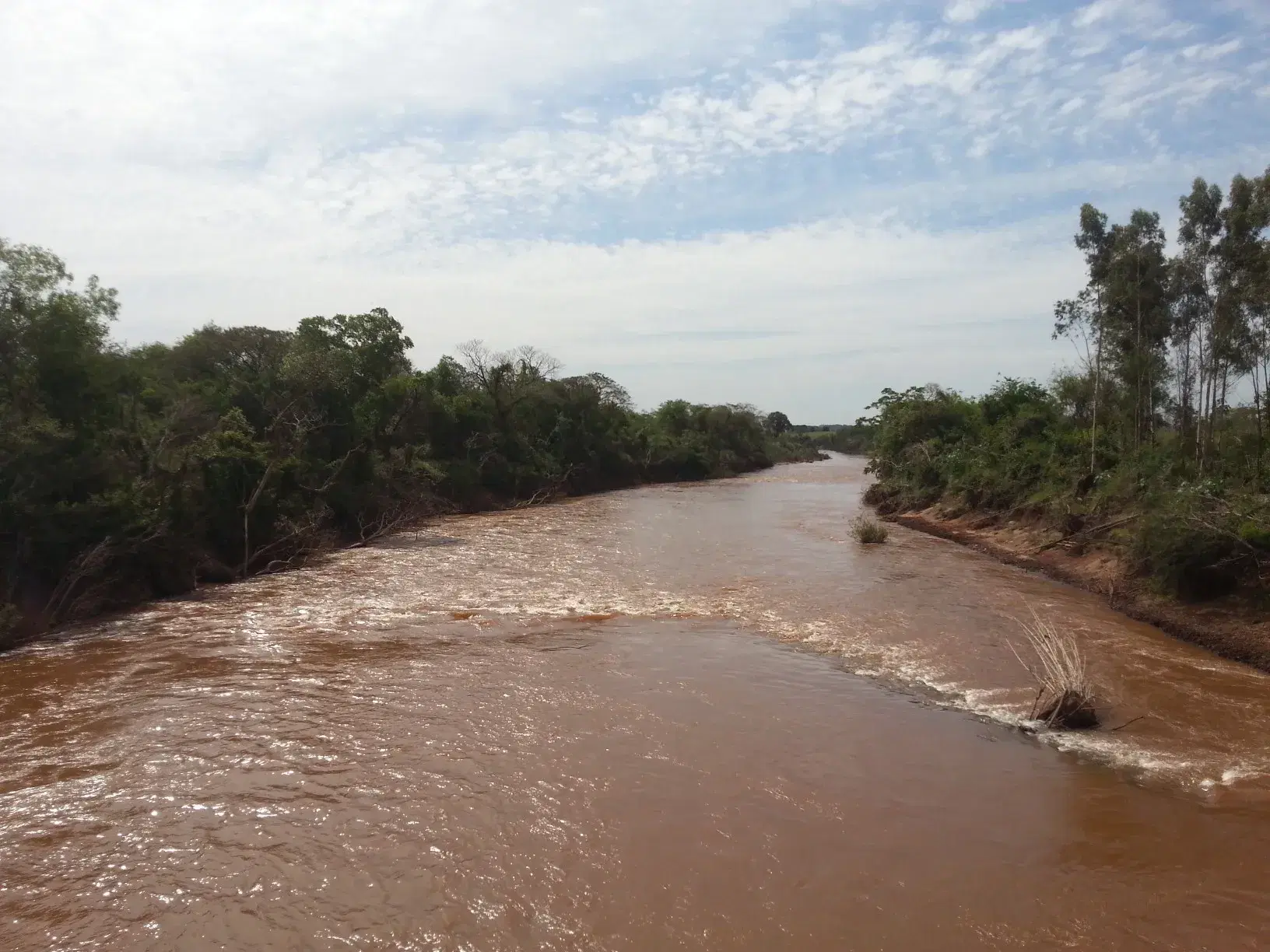 Rio Pirapó: guia completo de pesca