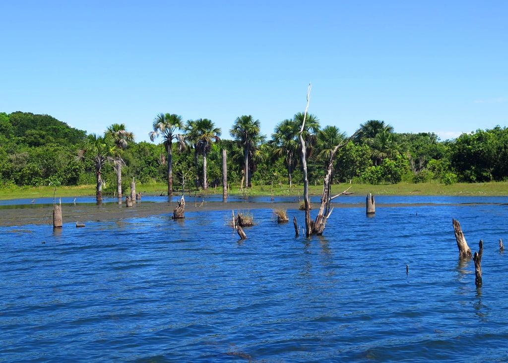 Lago do Peixe no Tocantins