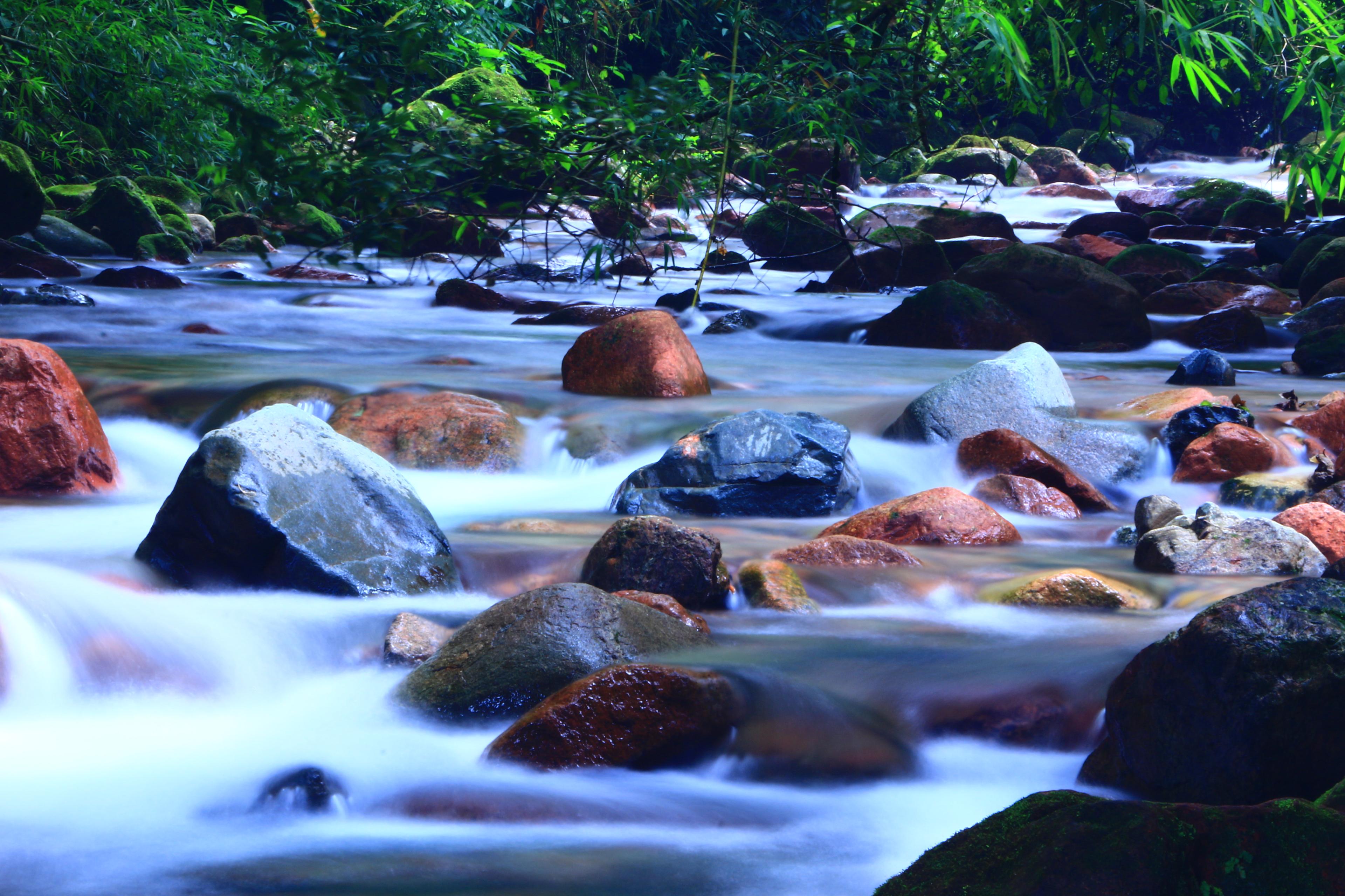 Rio Piraí (Joinville): guia completo de pesca