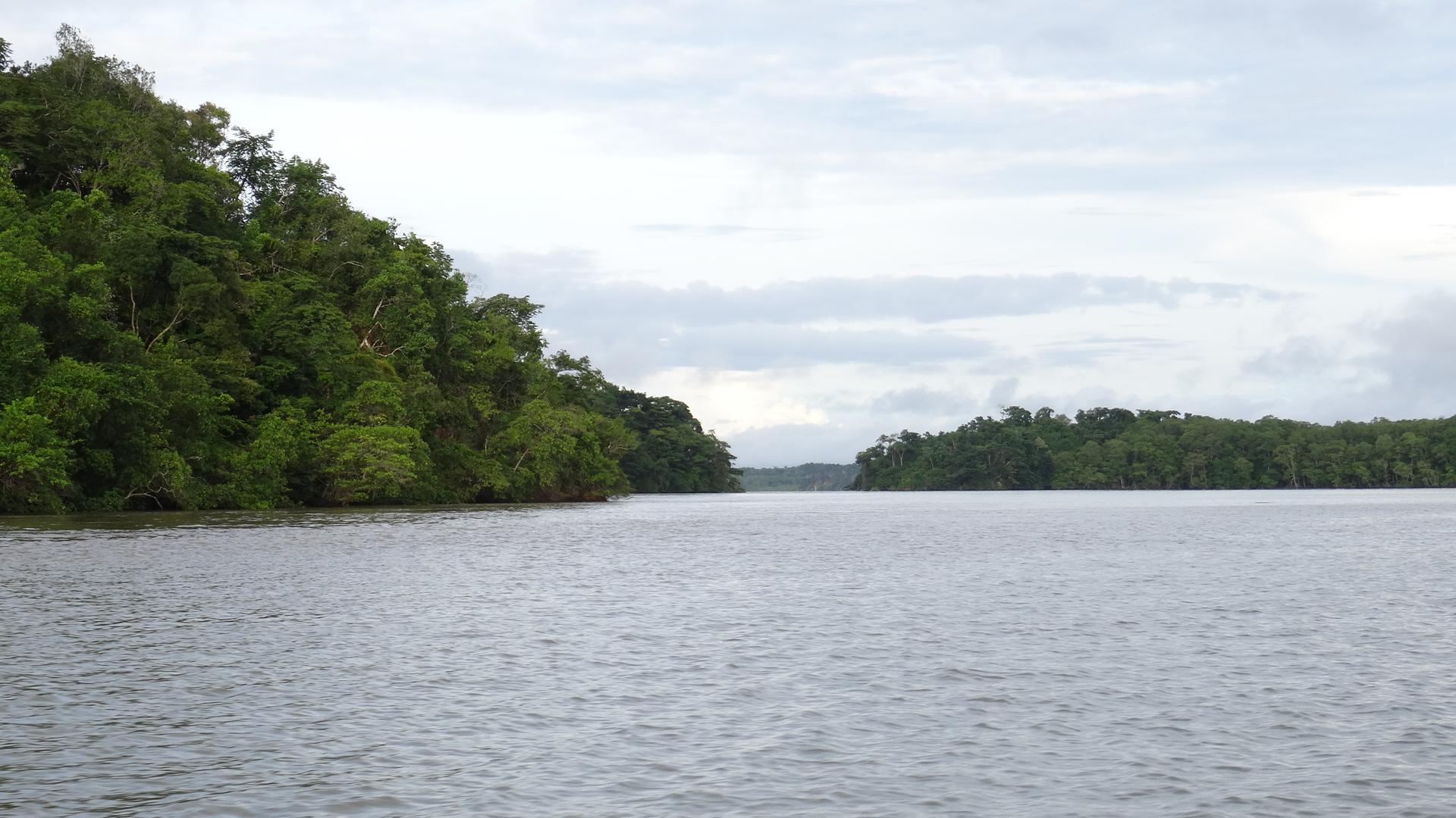 Rio Tuira (Panamá): Guia Completo de Pesca
