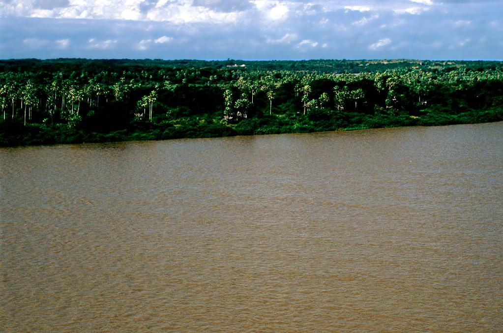 Rio Uruçuí: guia completo de pesca