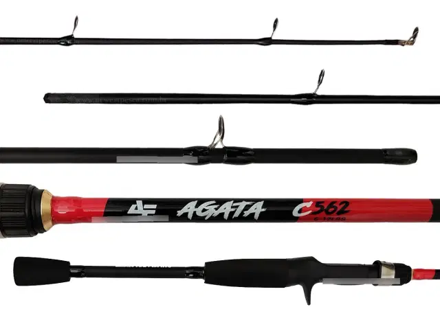 Albatroz Fishing Agata C562 1,68m