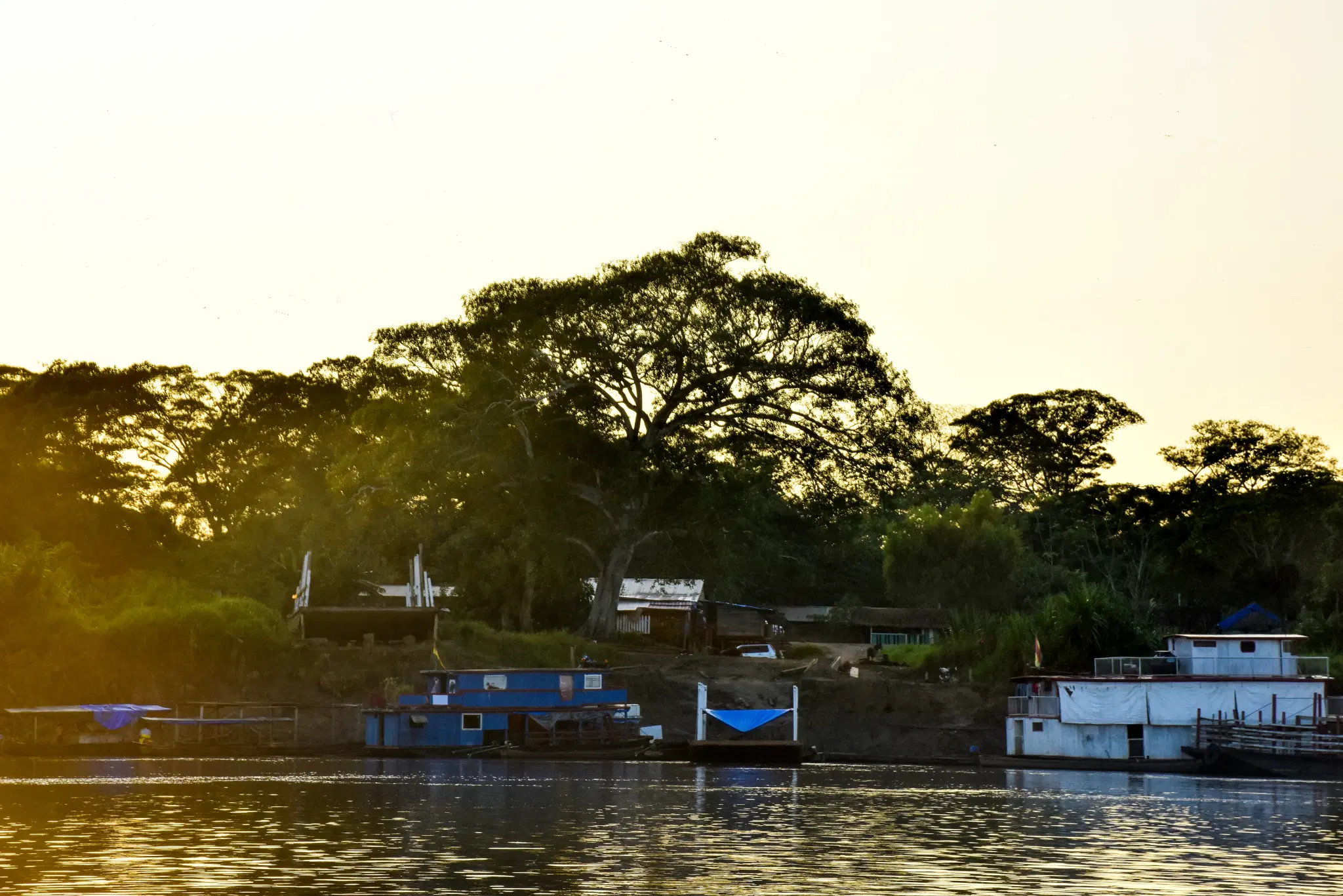 Rio Mamoré: guia completo de pesca