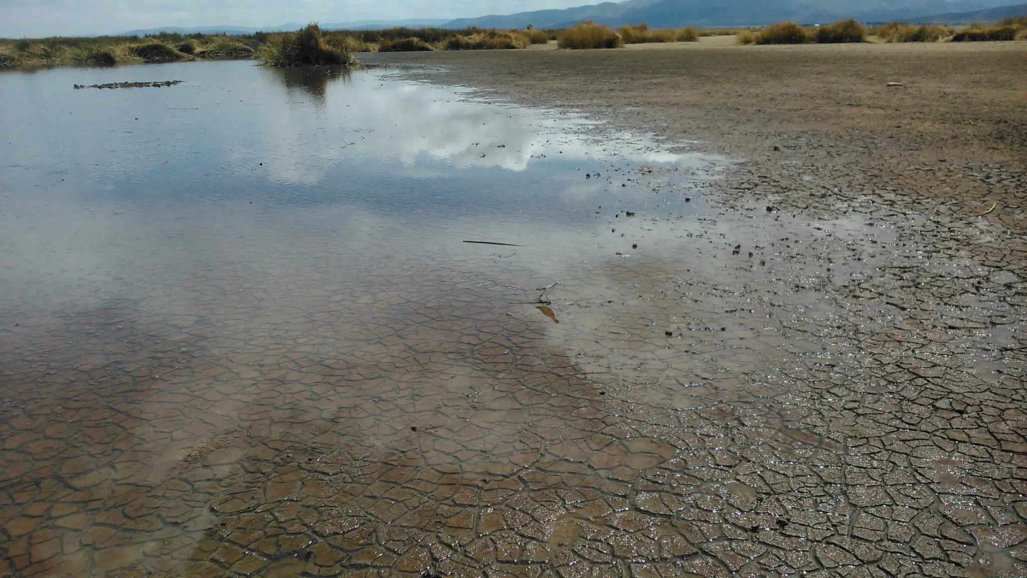 Lago Poopó: guia completo de pesca