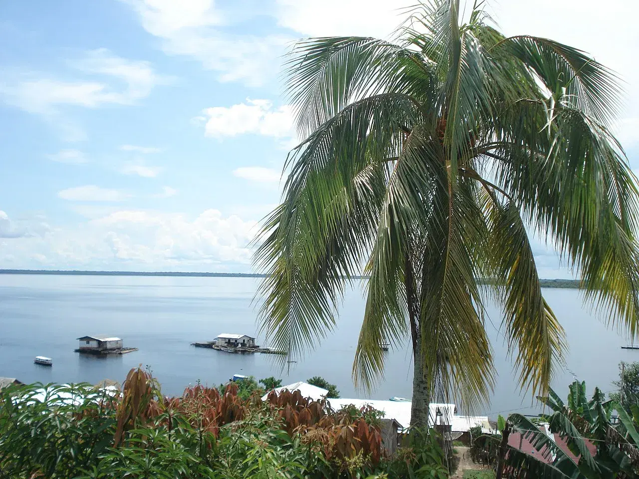 Margens urbanas do Lago Tefé no Amazonas