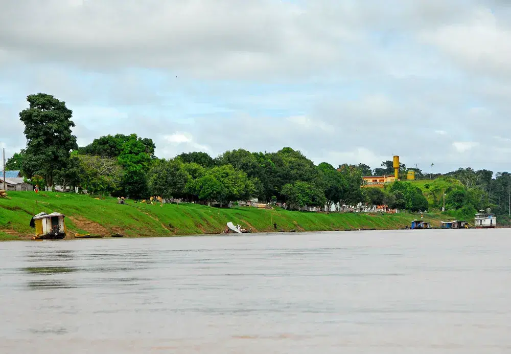 Rio Purus: guia completo de pesca