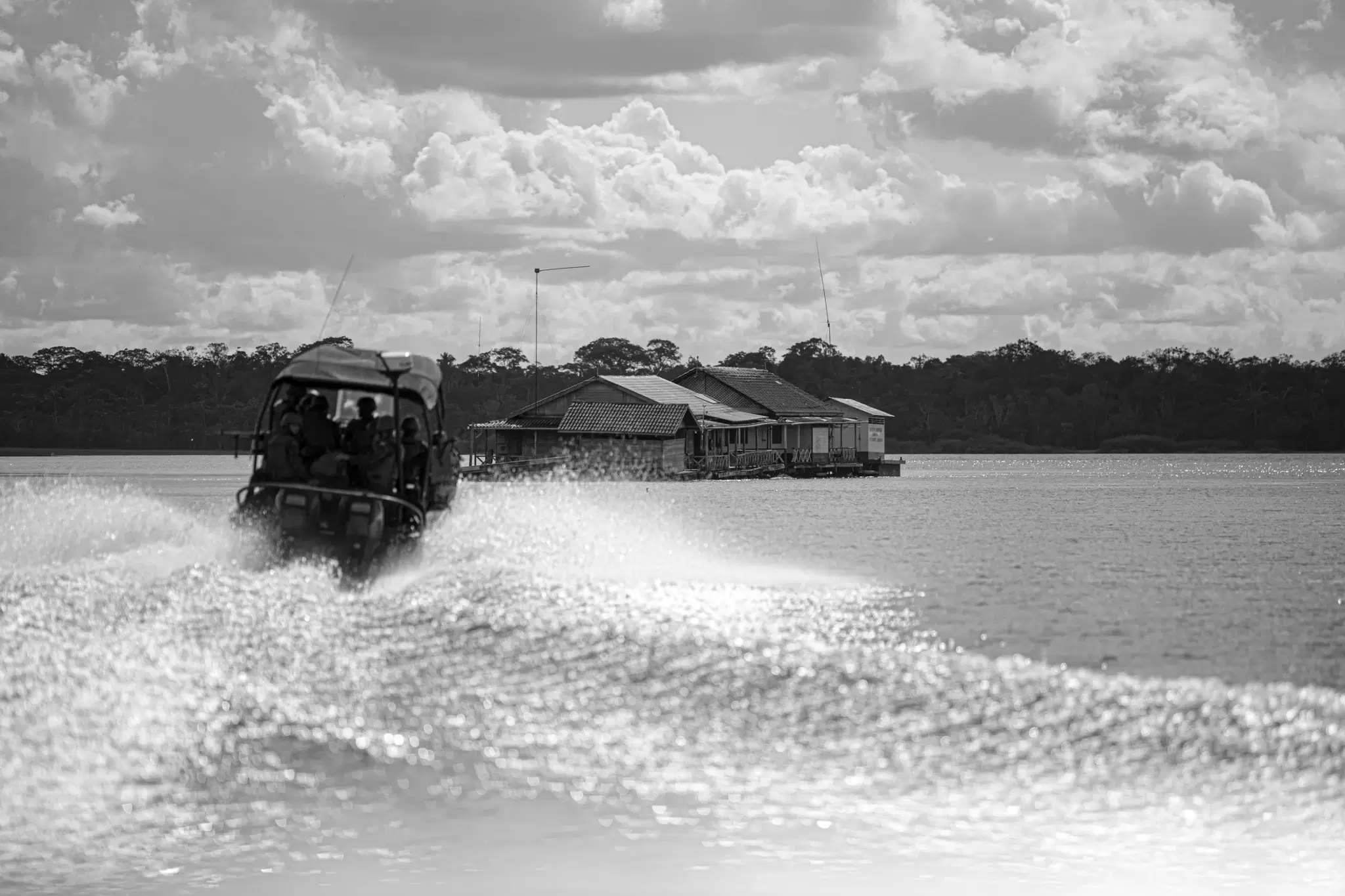 Voadeira cruzando o rio Uatumã na Reserva Biológica do Uatumã