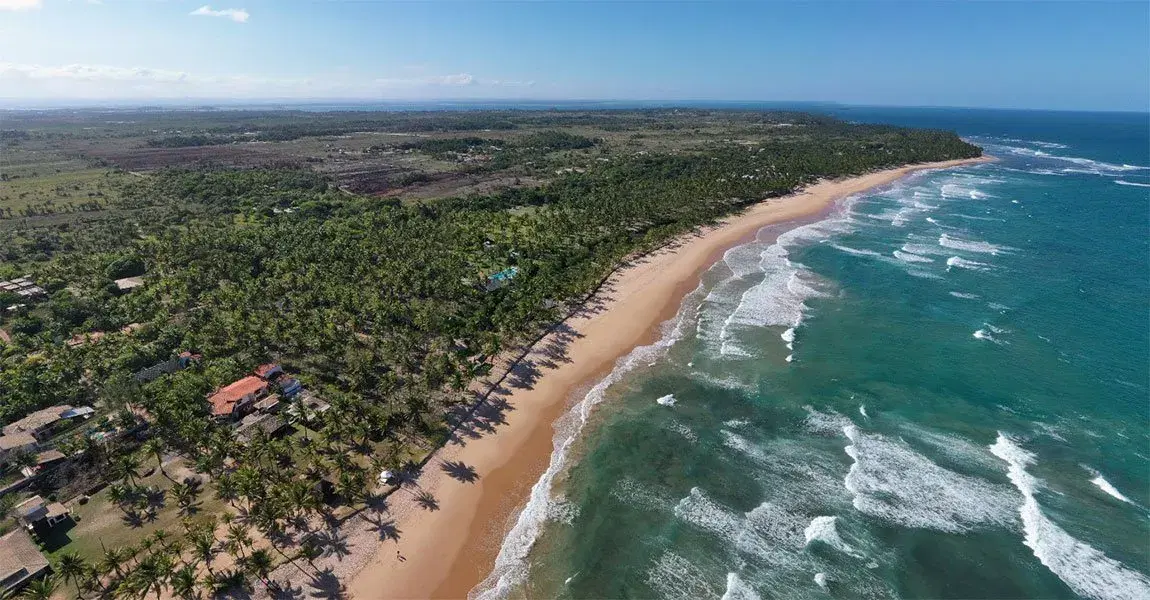 Península de Maraú: guia completo de pesca