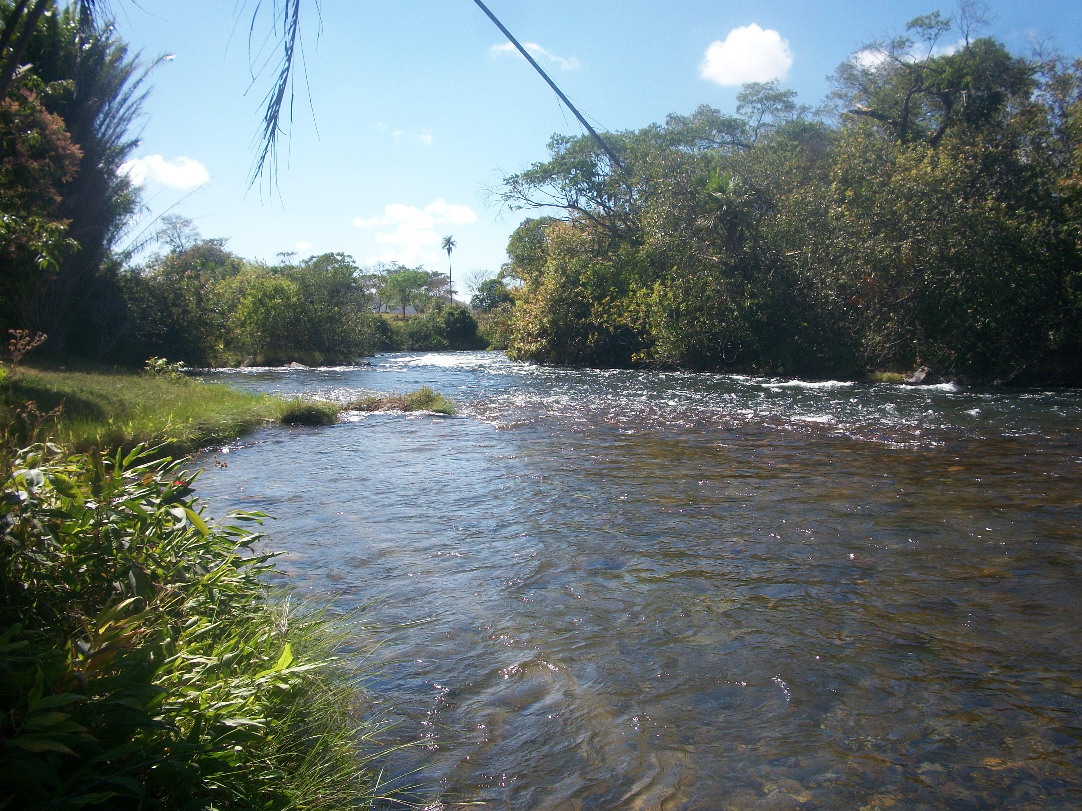 Rio Corrente (BA): guia completo de pesca