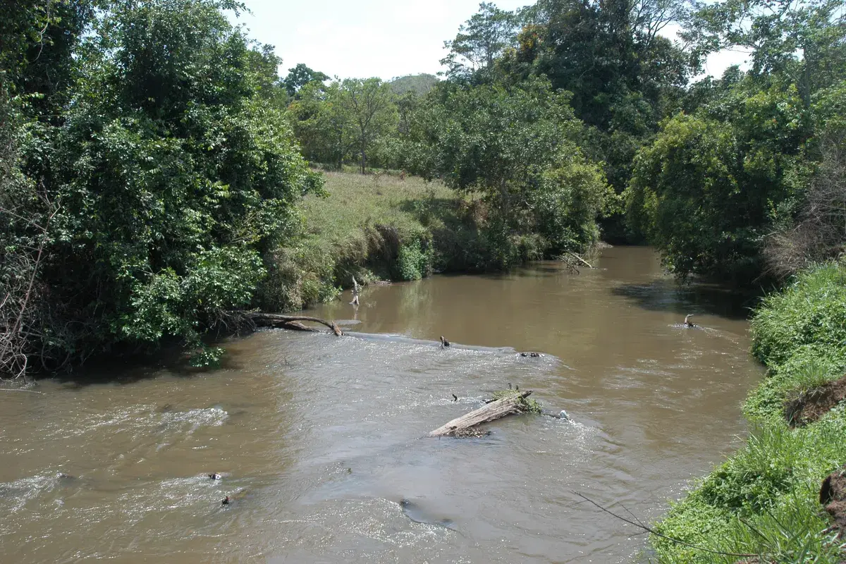 Rio São Bartolomeu: guia completo de pesca
