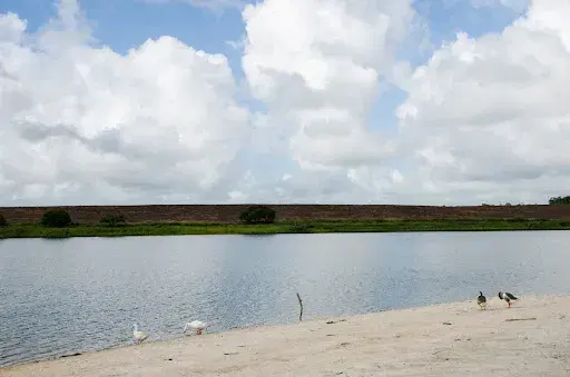 Lagoa do Aguiar: guia completo de pesca