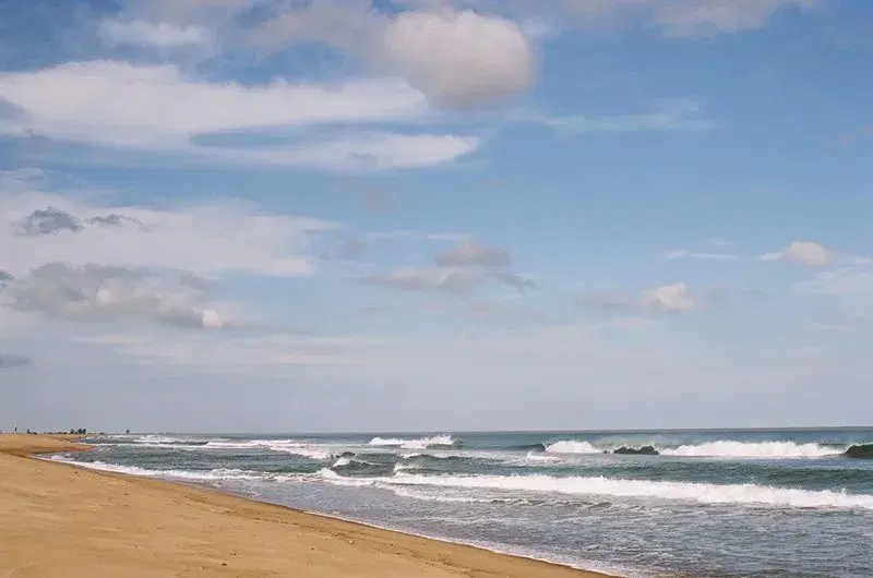 Praias de Regência: guia completo de pesca