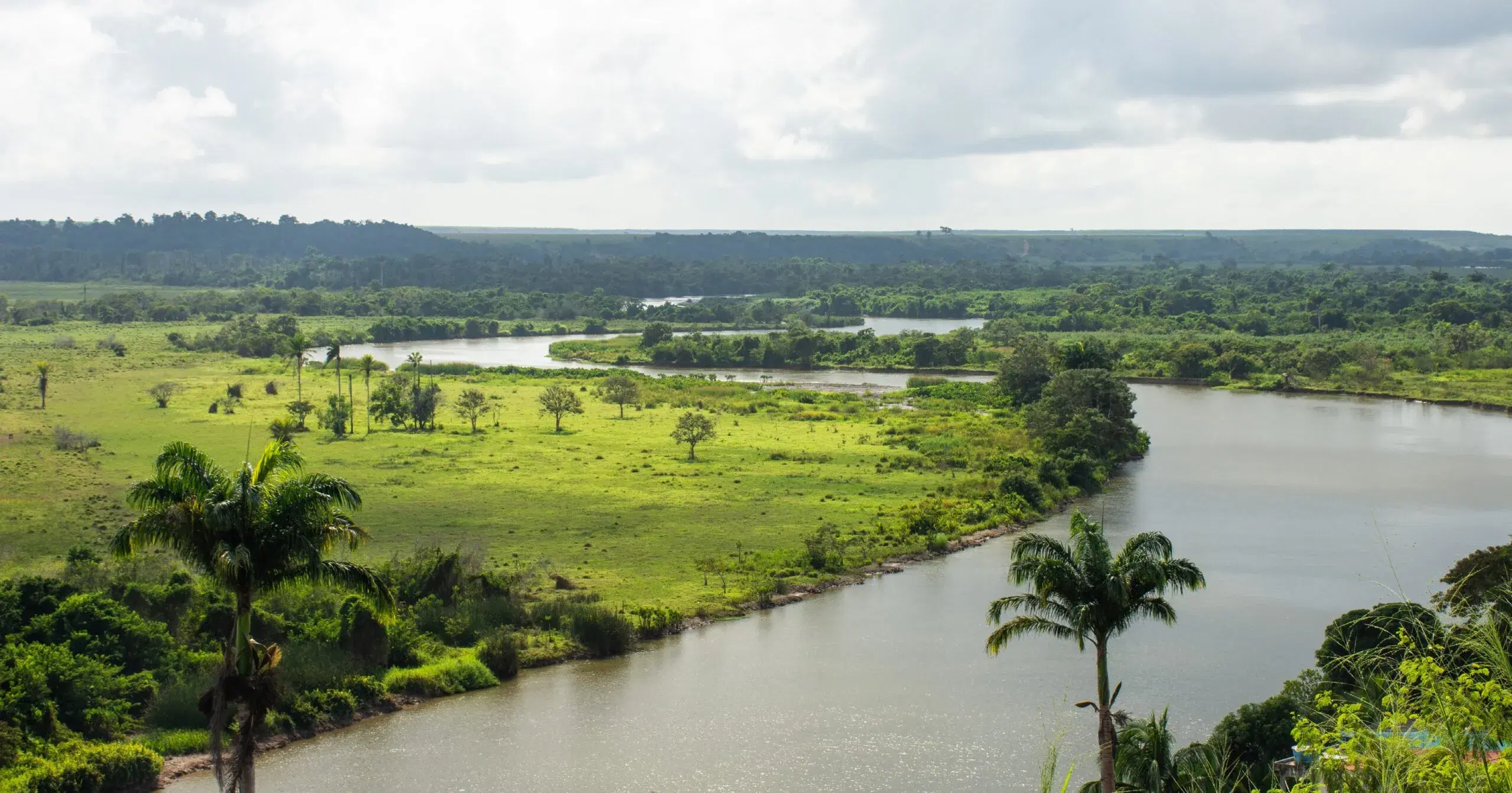 Rio São Mateus: guia completo de pesca