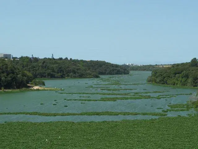 Lagoa Jacuném, destino de pesca urbana na Serra, região metropolitana de Vitória, Espirito Santo