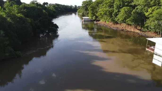 Rio Turvo (GO): guia completo de pesca