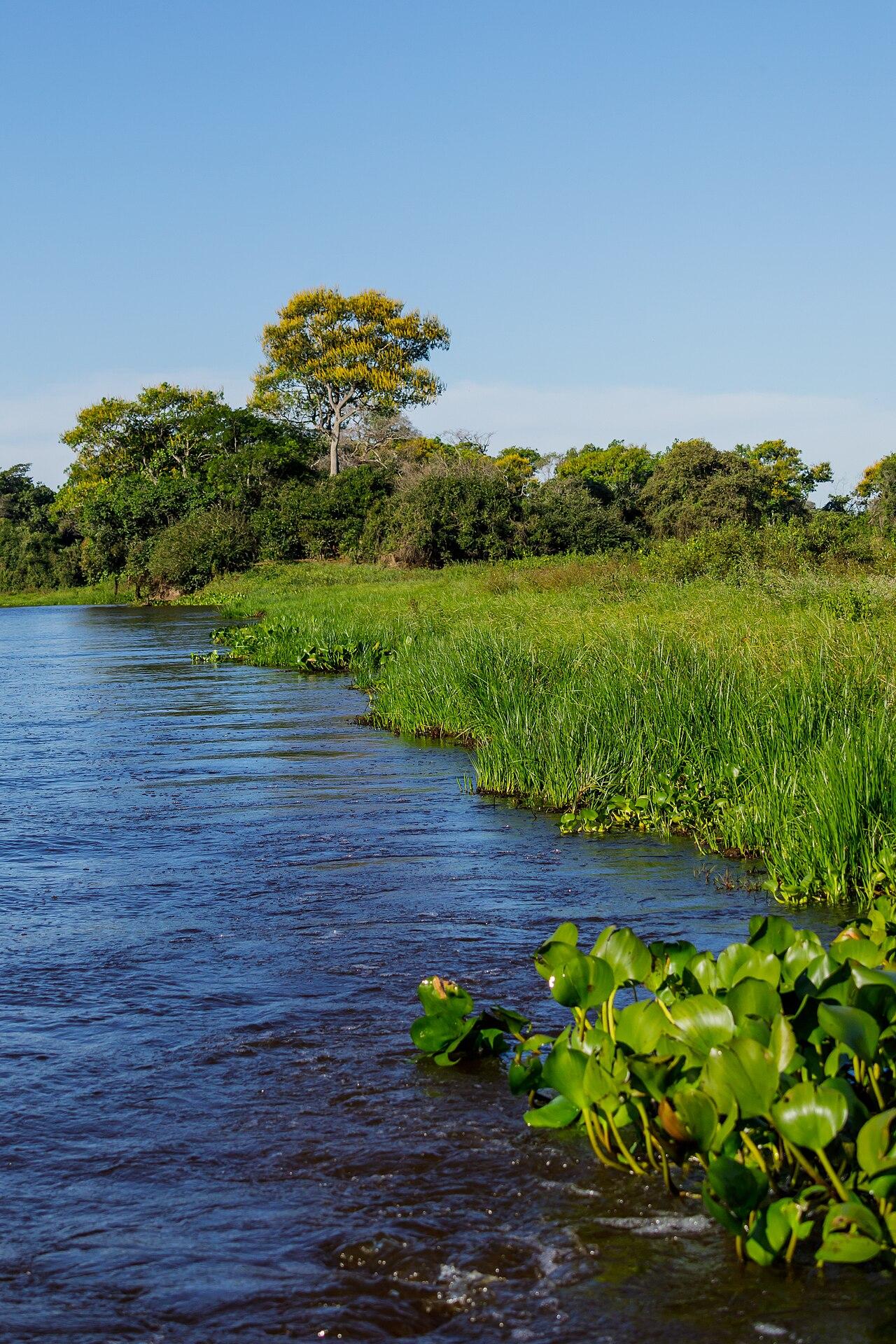 Meandros alagados no Parque Estadual Encontro das Águas