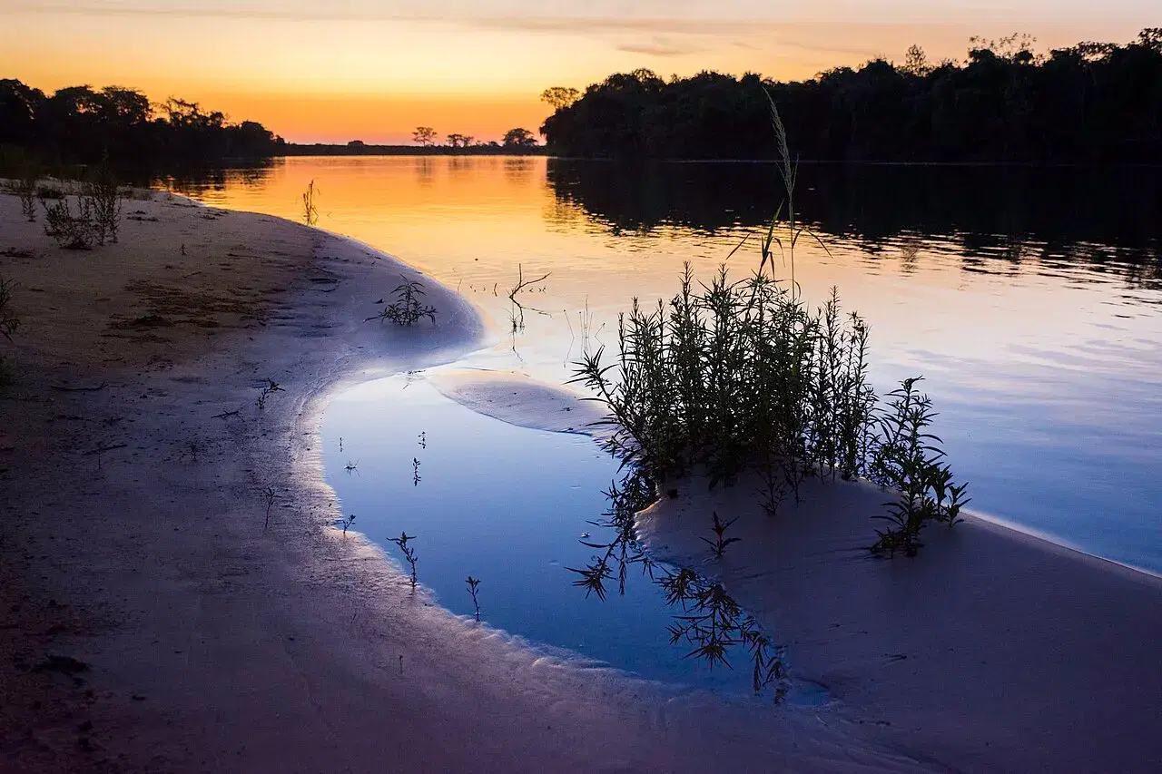 Baía Siá Mariana (Pantanal Norte - MT): guia completo de pesca