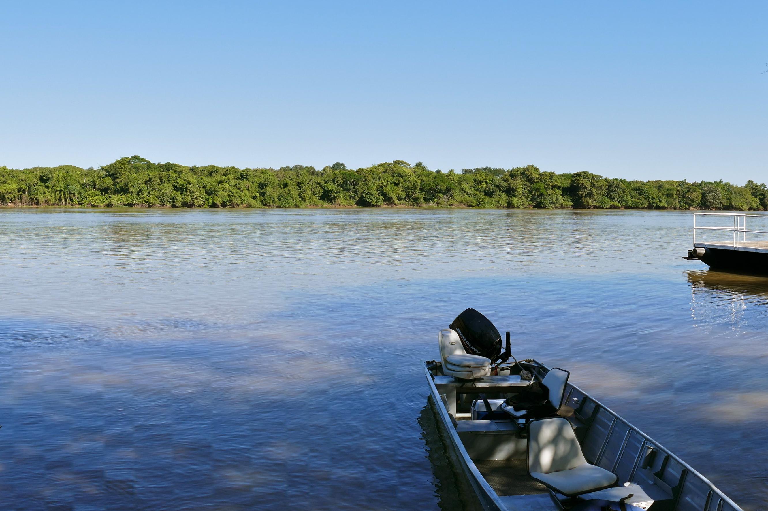Rio São Lourenço: Guia Completo de Pesca no Pantanal