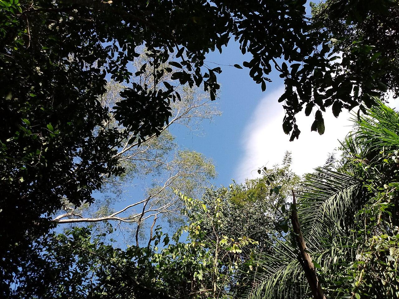 Rio Taquari (Pantanal): Guia Completo de Pesca
