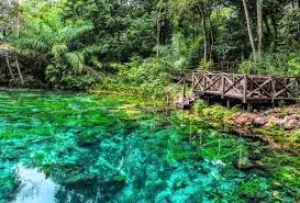 Rio cristalino em Bonito com peixes visíveis na água