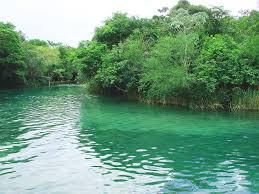 Rio Formoso: guia completo de pesca no principal rio de Bonito
