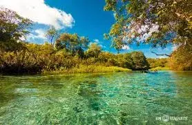 Rio Sucuri