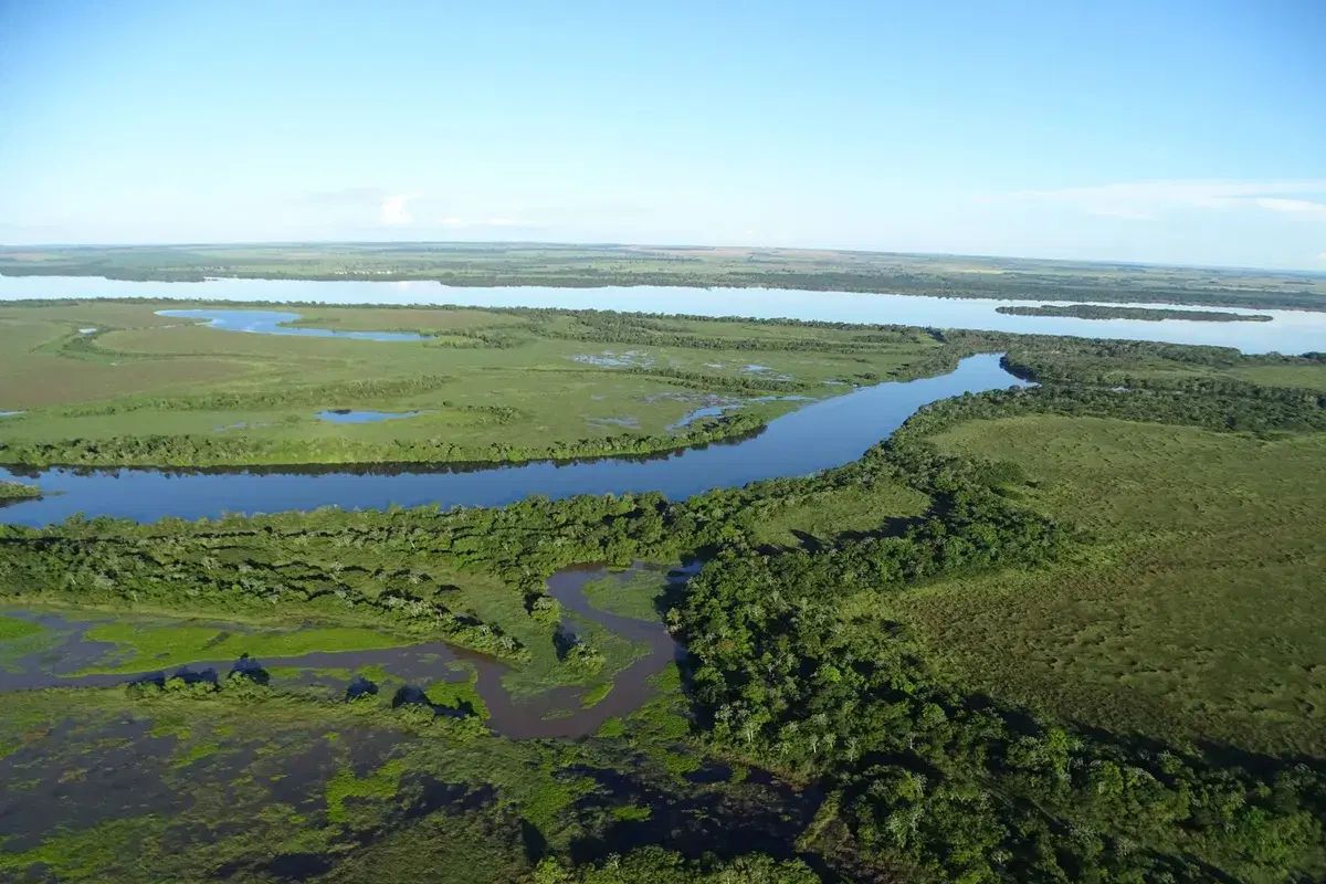 Rio Ivinhema (MS): guia completo de pesca - pesca esportiva