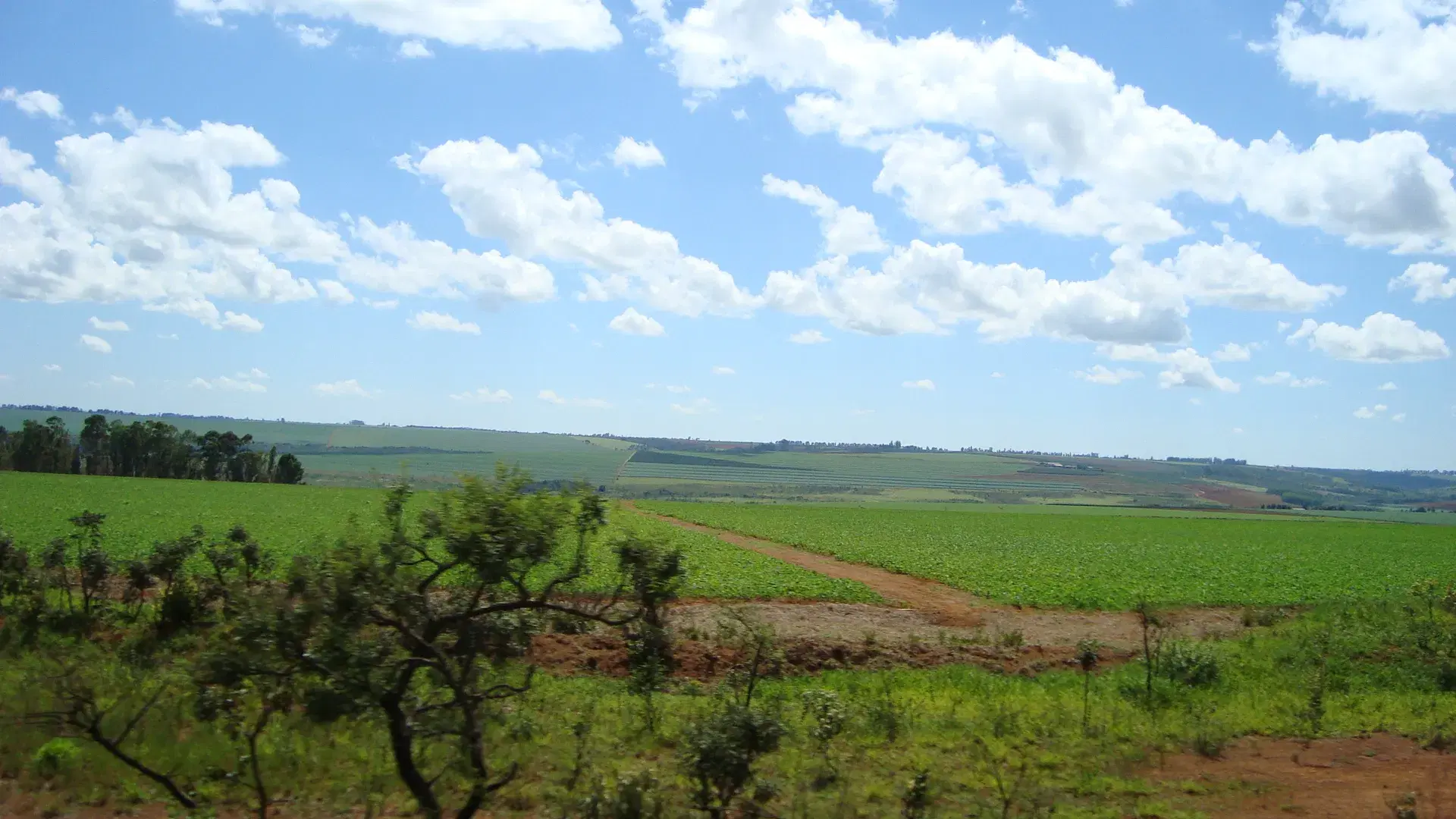 Vista de Rio Paranaíba, Minas Gerais - pesca esportiva
