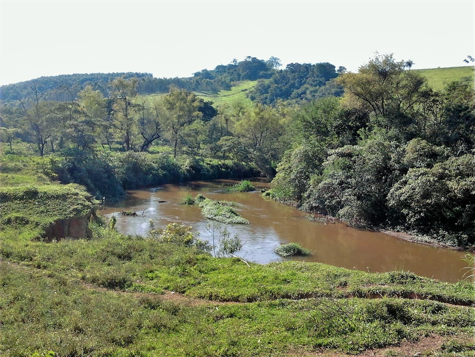 Rio Sapucaí: guia completo de pesca
