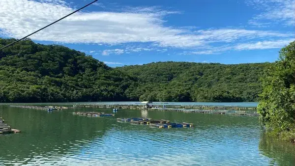 Represa de Miranda: guia completo de pesca