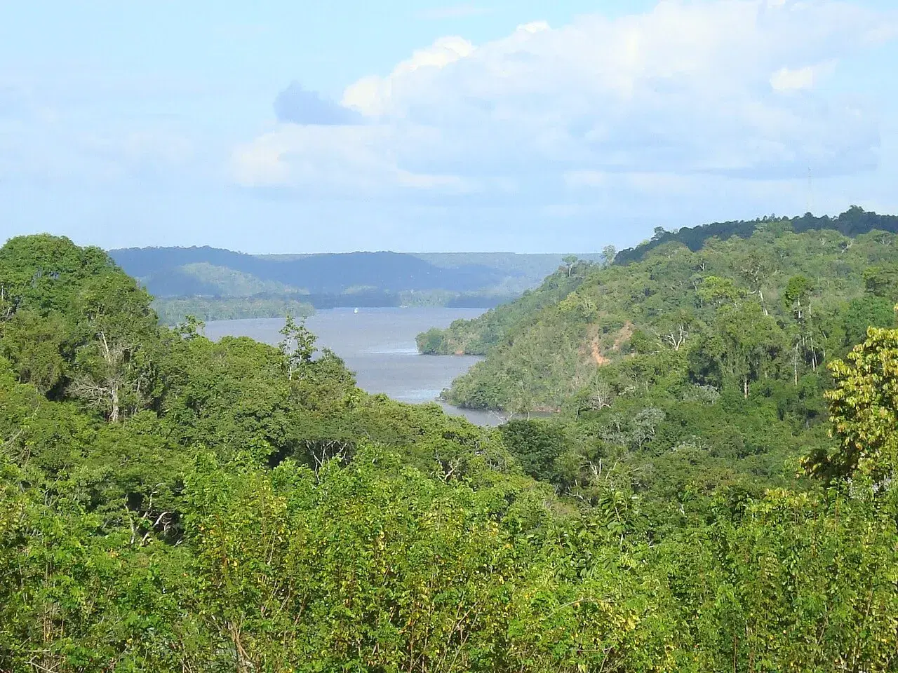 Rio Jari próximo a Monte Dourado