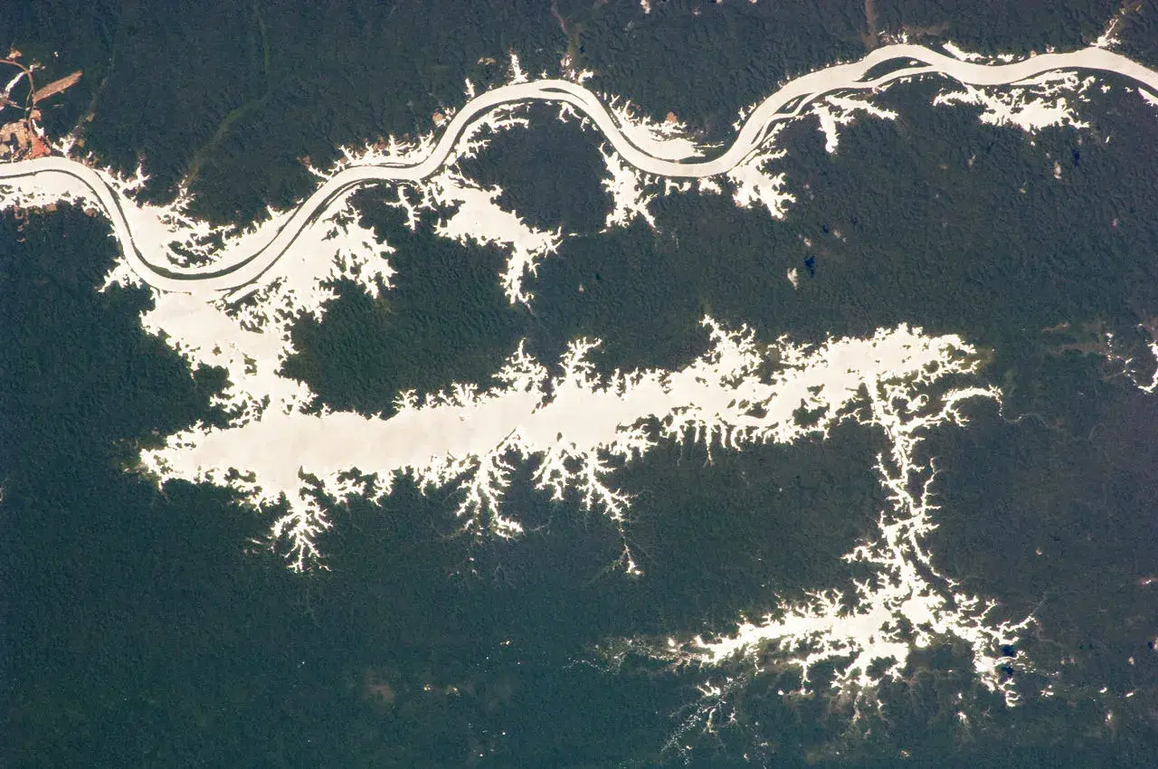Rio Trombetas (PA): guia completo de pesca em Oriximiná e Terra Santa