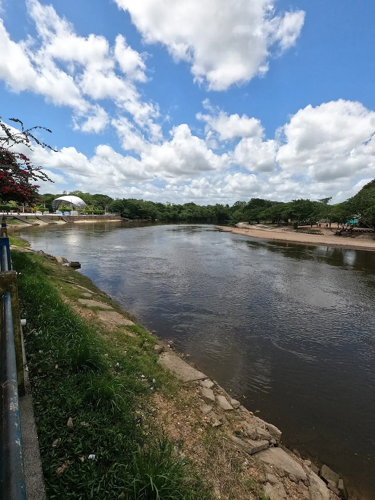 Rio Guamá