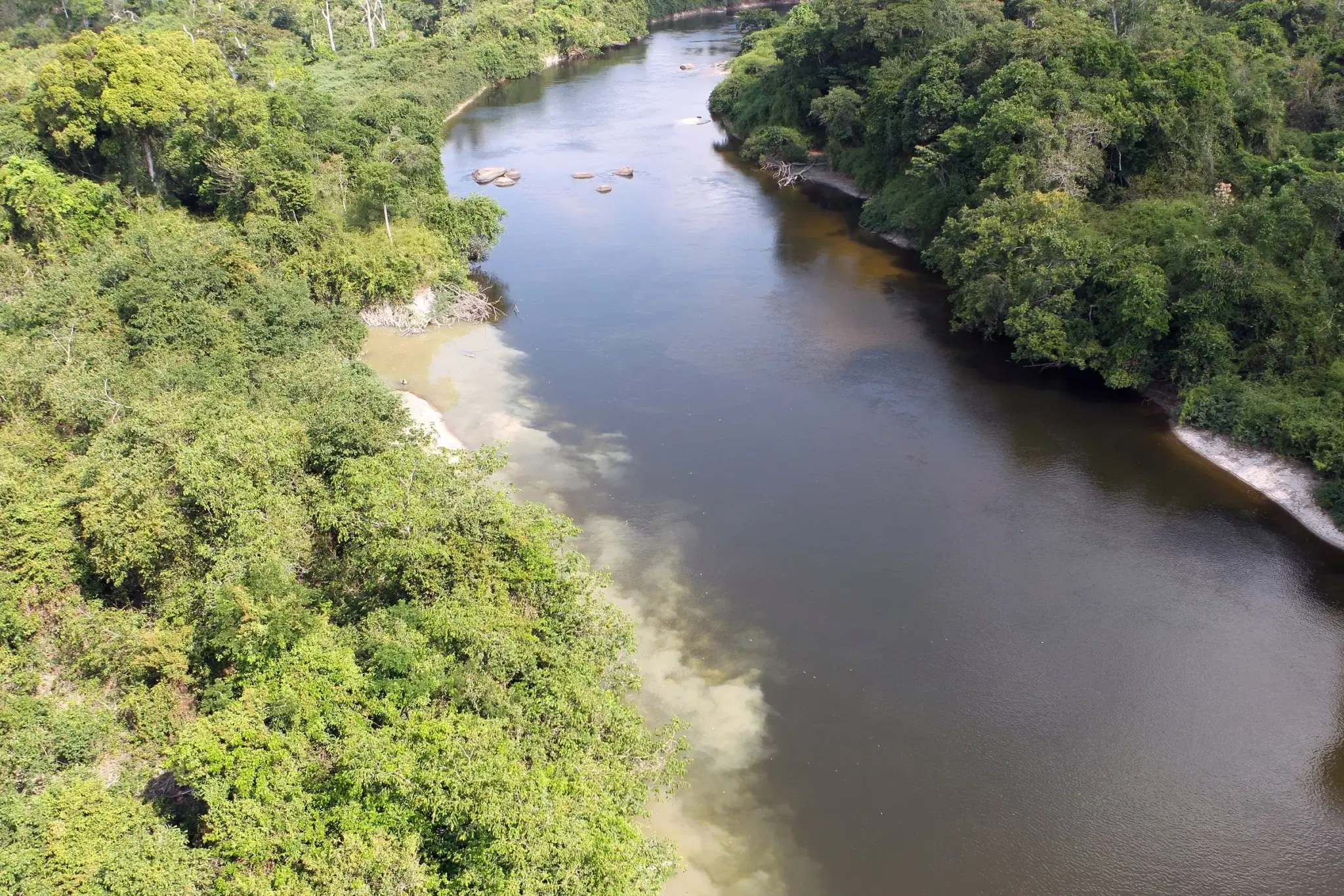 Vista aérea do rio Curuá correndo encaixado na floresta, em Altamira