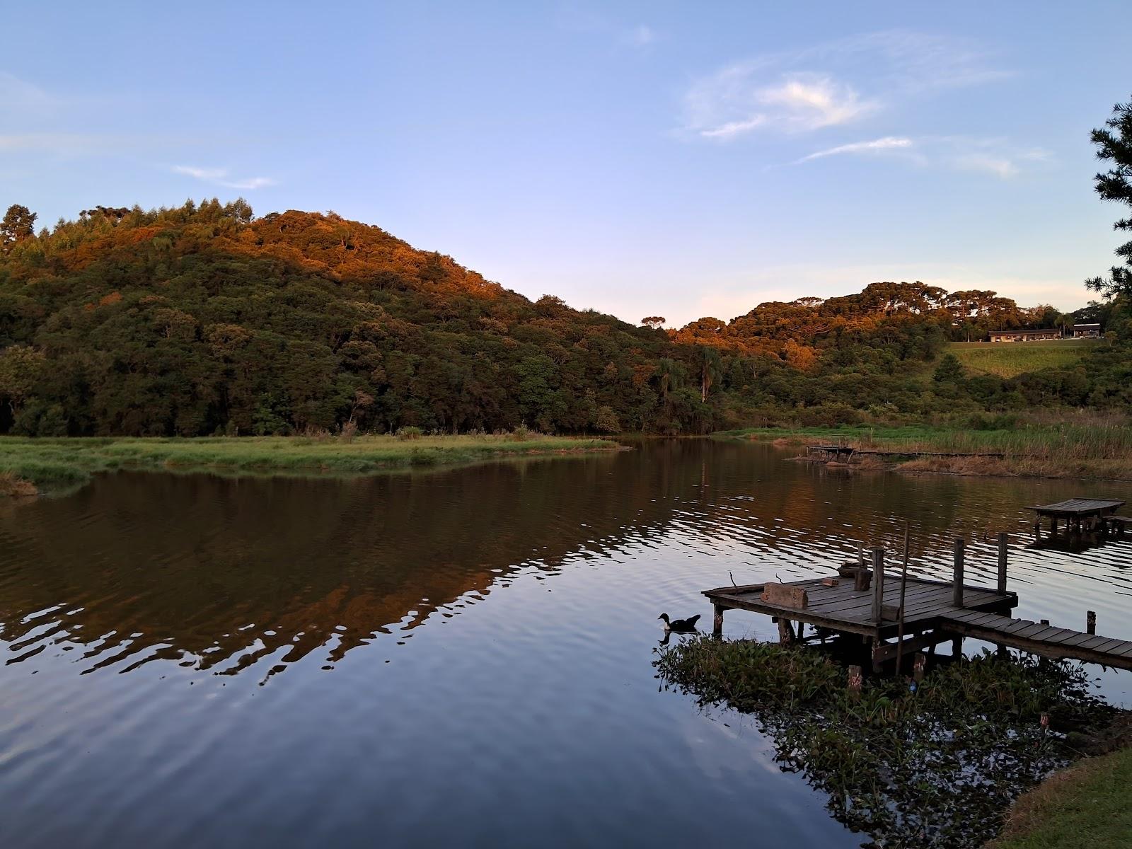 Bosque e Pague Pesque Chave de Ouro: guia completo